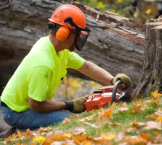 tree services Naytahwaush